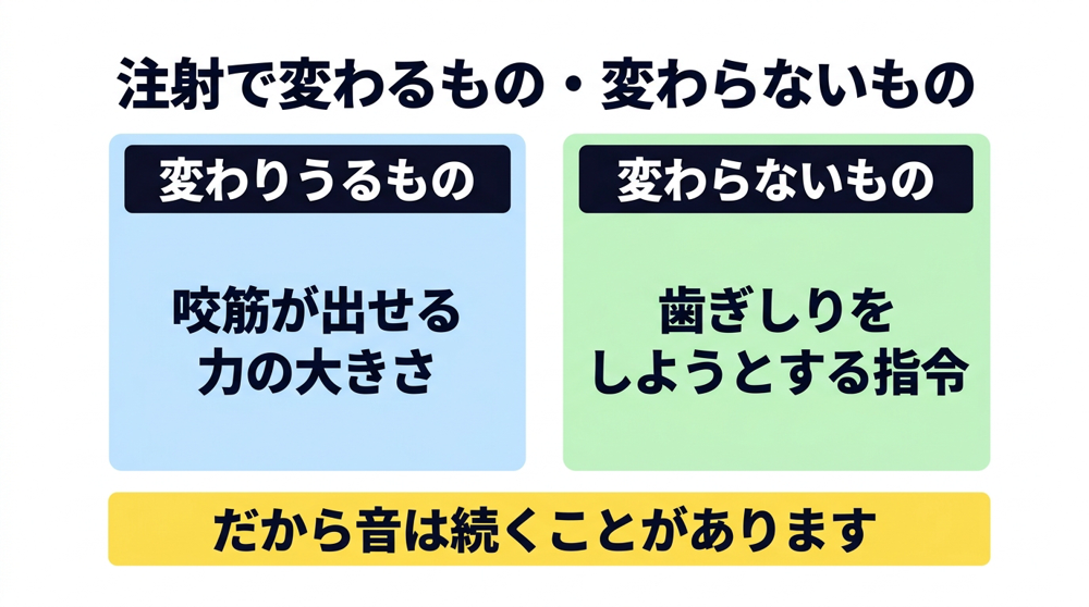 注射で変わりうるのは咬筋が出せる力の大きさであり、歯ぎしりをしようとする指令そのものは変わらないことを示した対比図