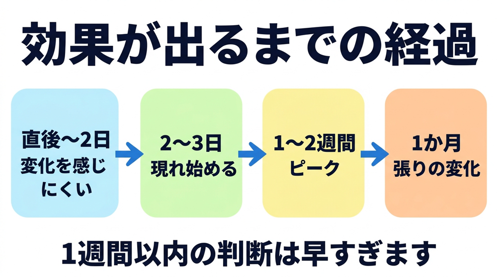 ボツリヌストキシン製剤の効果が直後は変化を感じにくく、2〜3日で現れ始め、1〜2週間でピークに達し、1か月で咬筋の張りが変化する経過を示した図